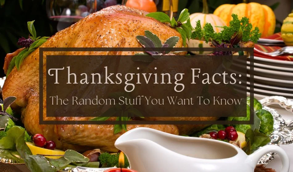 7 Interesting Thanksgiving Facts to Share with Everyone You Know