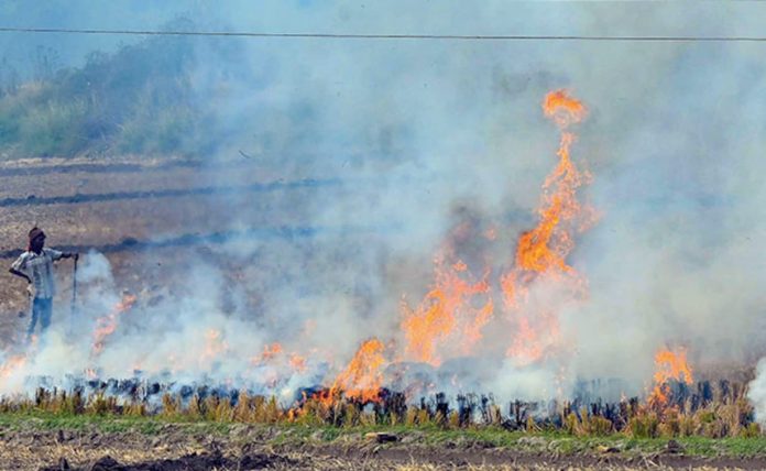 Over 930 FIRs Filed Against Farmers for Stubble Burning in Punjab