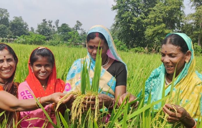 Empowering Agriculture The Crucial Role of Women in Farming