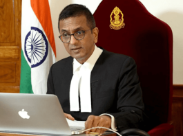 CJI Chandrachud Criticizes Petitioner for Using Casual Language in Court Says, 'Don't Say...'