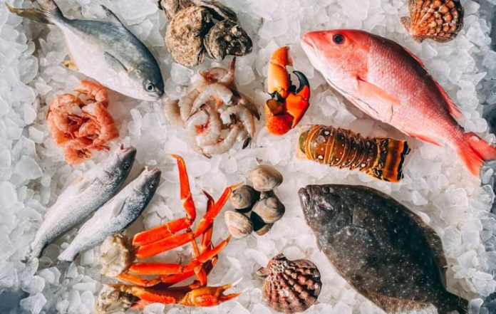 India Achieves Record High Seafood Exports by Volume in FY 2023-24