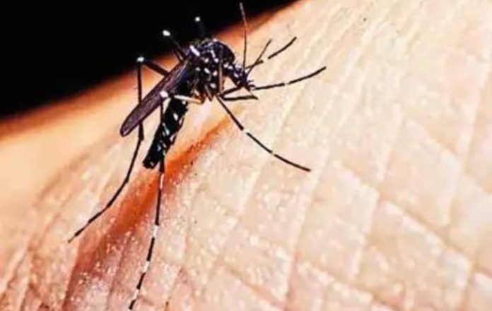 Dengue Cases Surge in Delhi