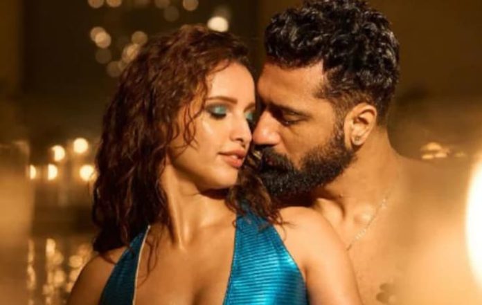 Vicky Kaushal and Tripti Dimri Sizzle Chemistry