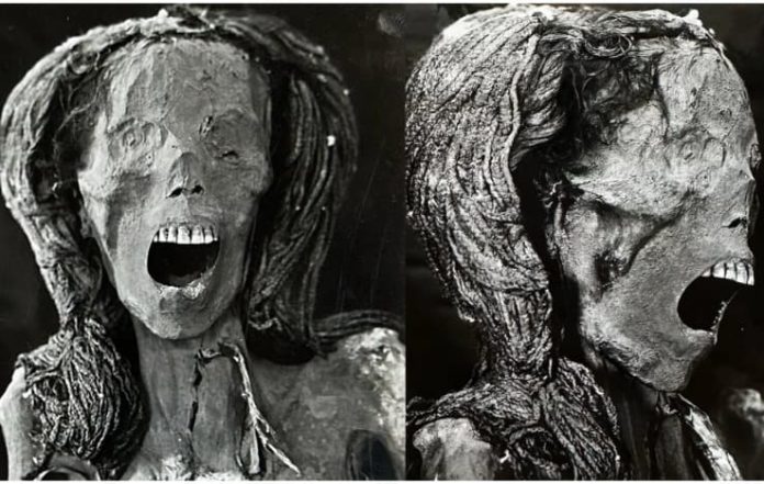 The Mystery of Ancient Egypt's 'Screaming' Mummy Woman