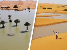 Floods in the Sahara Desert?