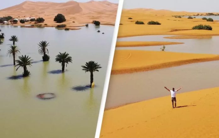 Floods in the Sahara Desert?