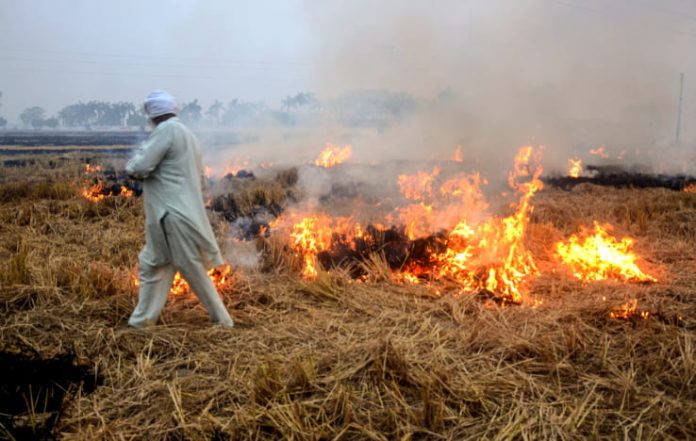 Farm Fires Surge in Punjab